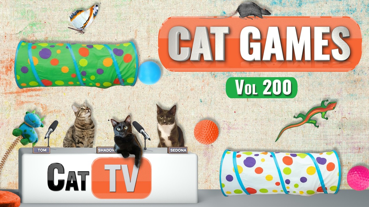 Игры с котами | Подборка лучших кошачьих телепередач, том 200 | 8 часов 🐝🐞🦋🦎🦜🐜🐭🧵