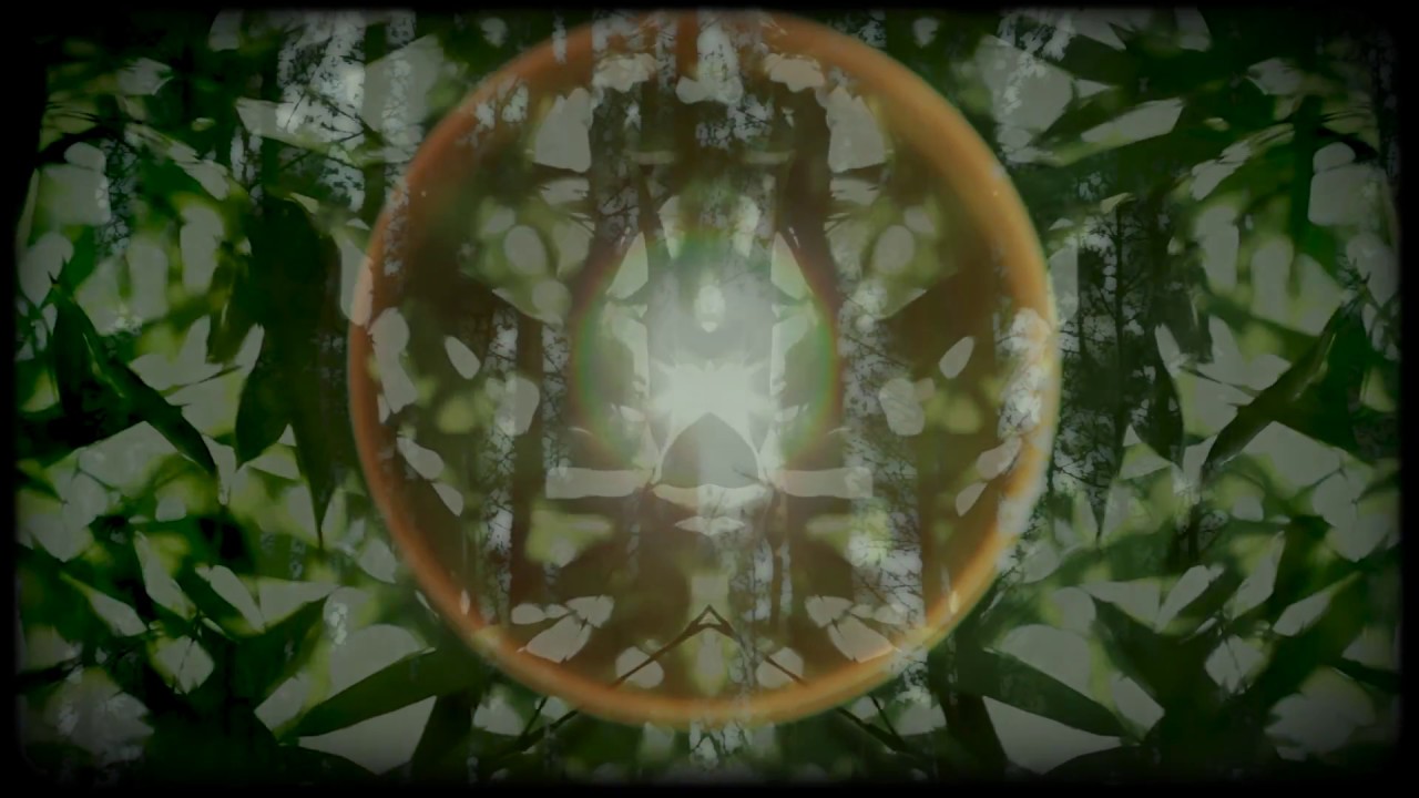 Anton Kubikov - Kurt's Forest (Official Video)