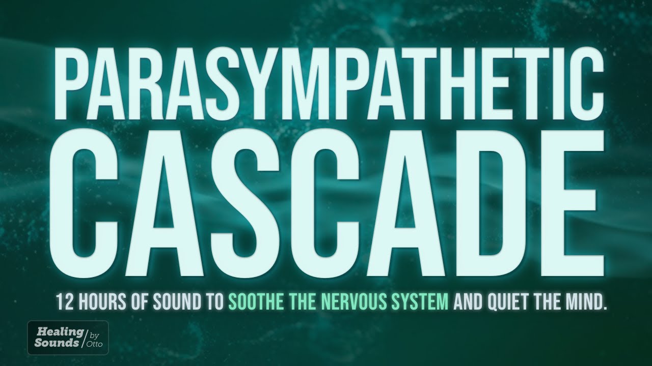 Parasympathetic Cascade 🌿 | 12 HOURS + BLACK SCREEN | Deep Nervous System Reset Sound