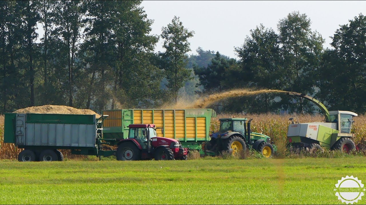 Kiszonka na 2 sieczkarnie ☆ Jaguar 940 & 860 ☆ 5x JD ☆ 4x McCormick ☆ Auto-Agro