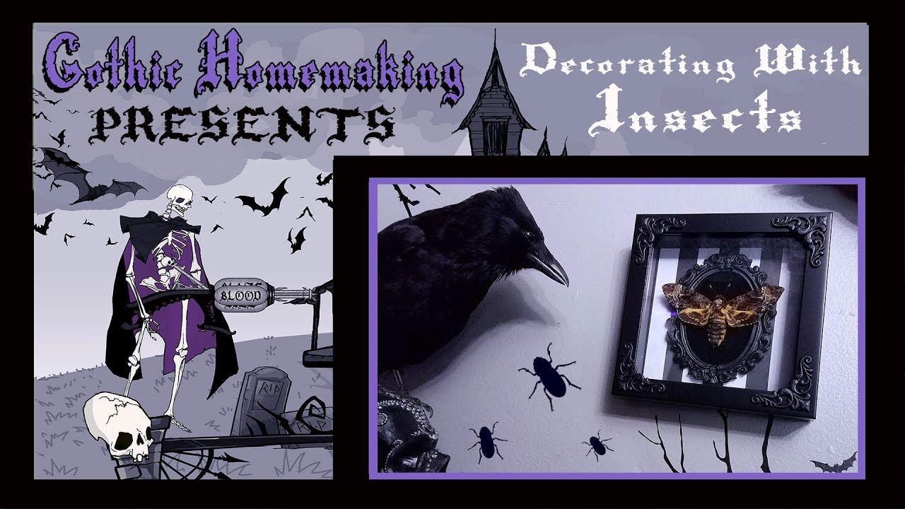 Decorating With Insects - Gothic Homemaking Presents