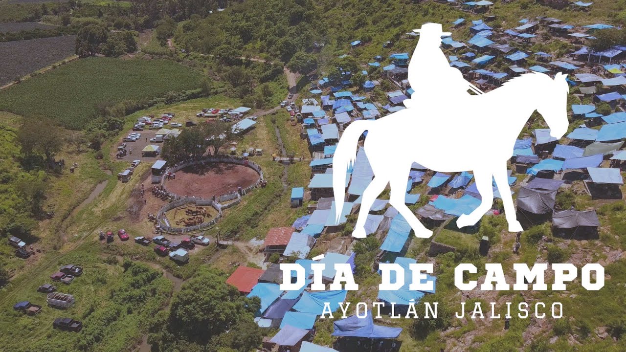 Día de Campo Ayotlán, Jalisco - Documental 2024