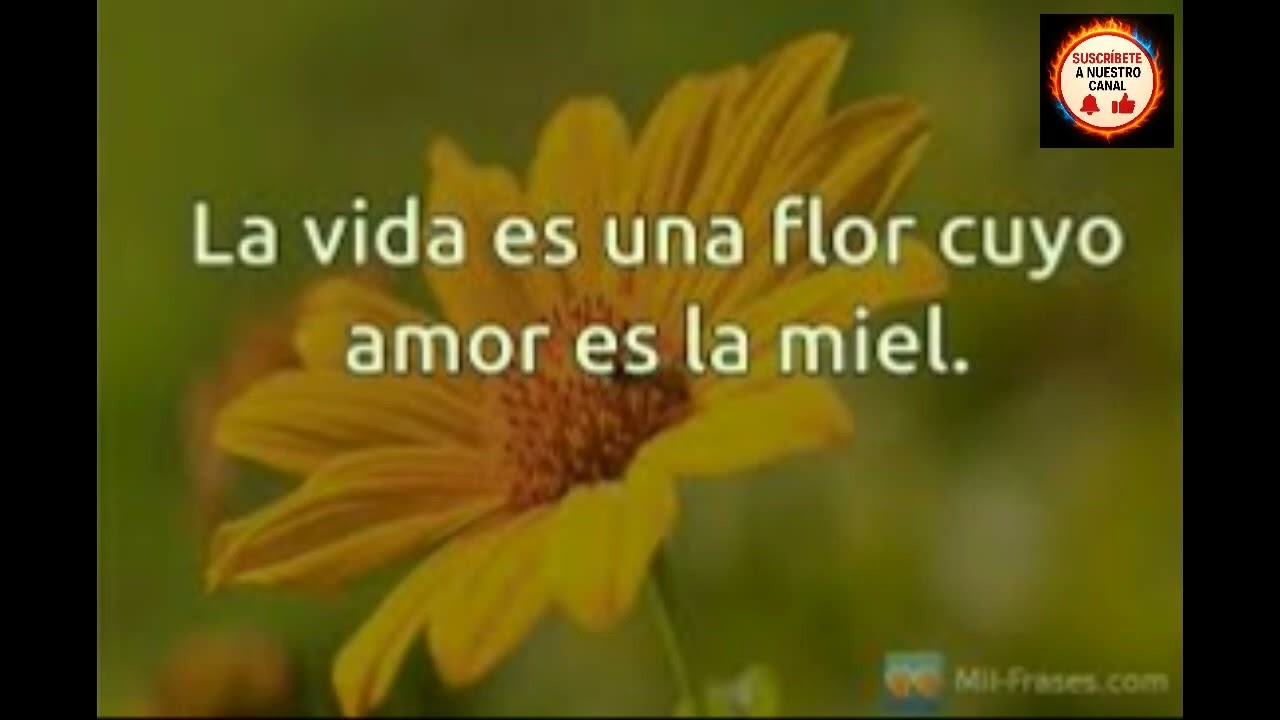 LA VIDA ES UNA FLOR  RREGUE