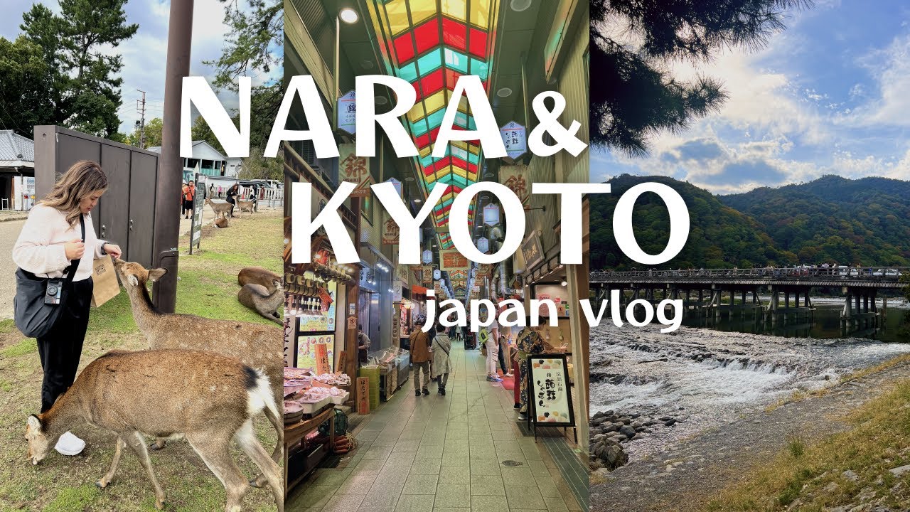 JAPAN VLOG 🇯🇵 | nara + kyoto, feeding deer, kamo river, arashiyama, nishiki market, osaka castle