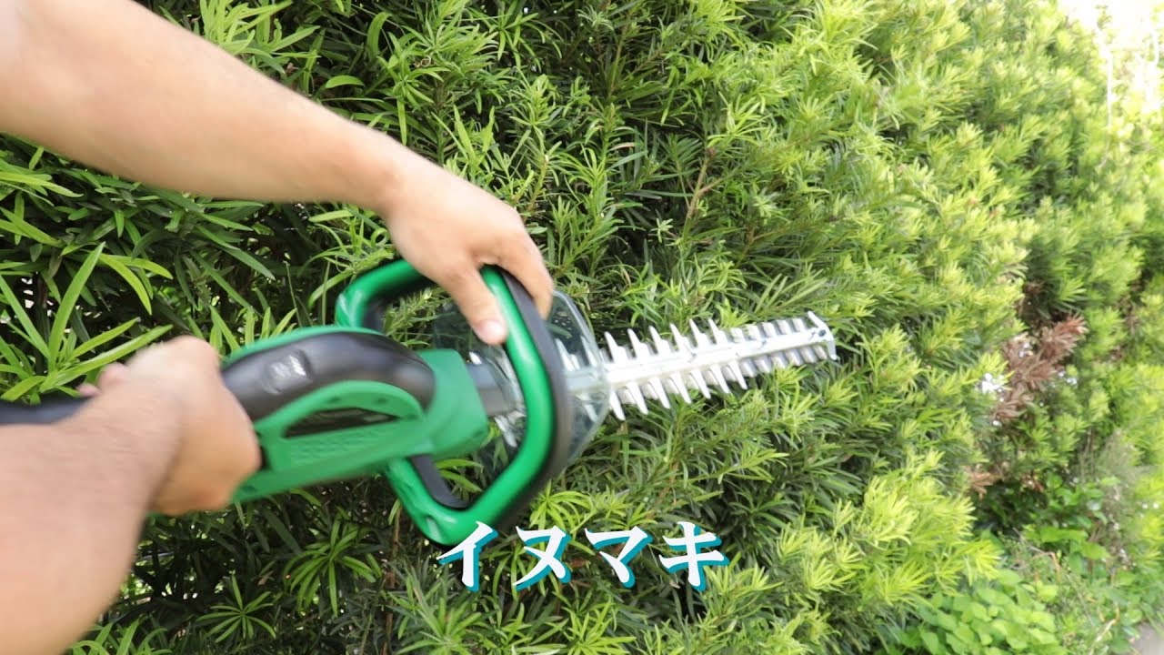 新発売コードレス植木バリカンHikokiCH3656DAと新発売バッテリーBSL36A18で庭木の剪定は超楽ちん(^_-)-☆