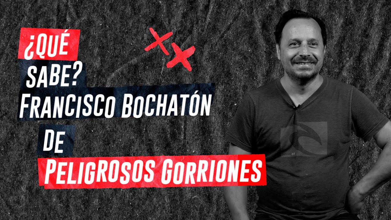 ¿#QuéSabe Francisco Bochatón sobre Peligrosos Gorriones?