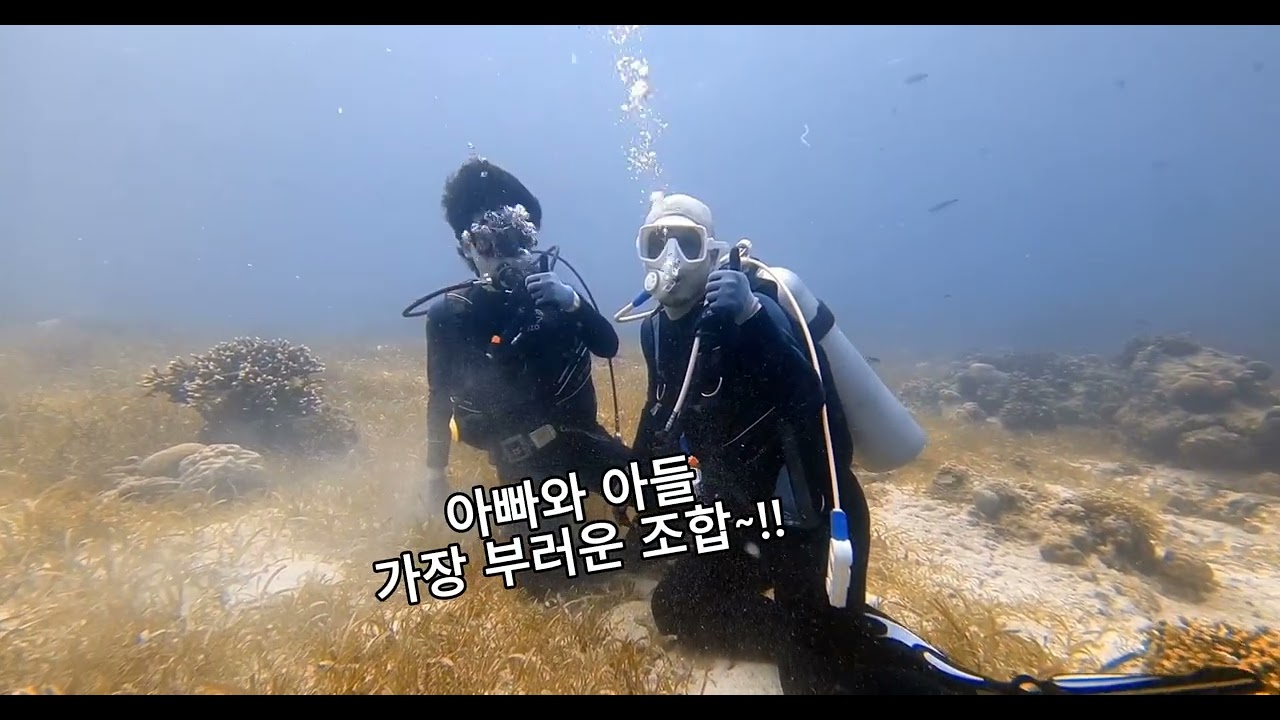 2026.02.20 (너무 잘어울리는 조합~^^)