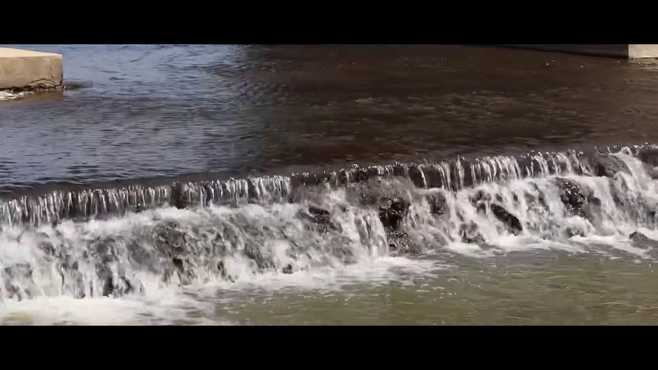 自然の秘密The secrets of nature Les secrets de la nature