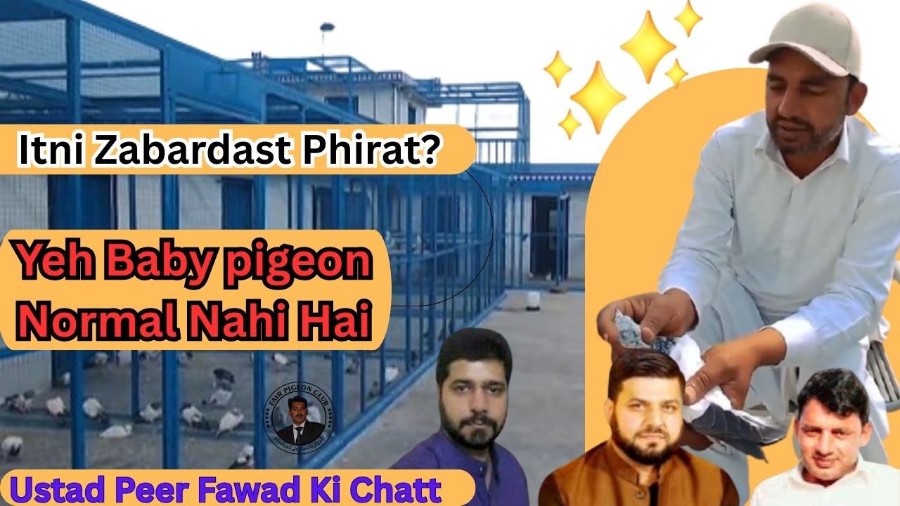 21 February 2026 Ki Aaj Ki Phirat 😱 | Baby Kabootar Ne Kamaal Kar Diya | Ustad Peer Fawad Ki Chatt