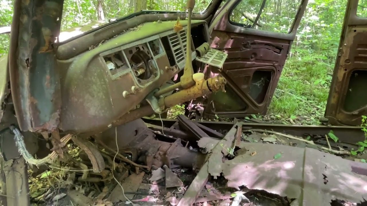 Ben's Tours--Chrysler in the Woods