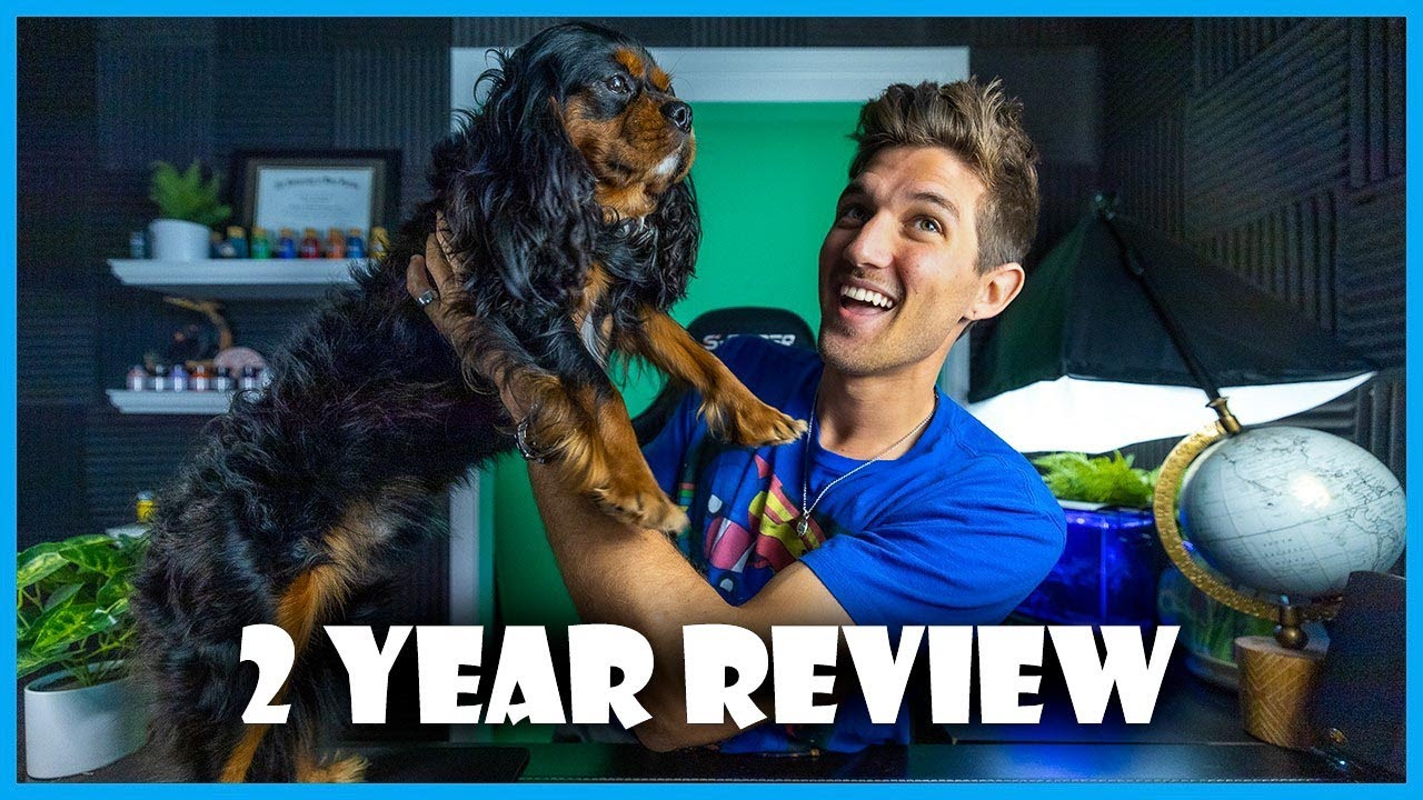 2 Year Review - Cavalier King Charles Spaniel