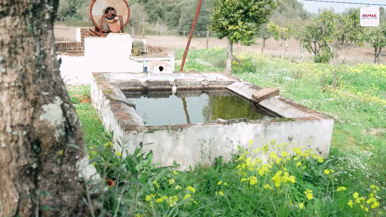 Quinta em Montemor-o-Novo.
