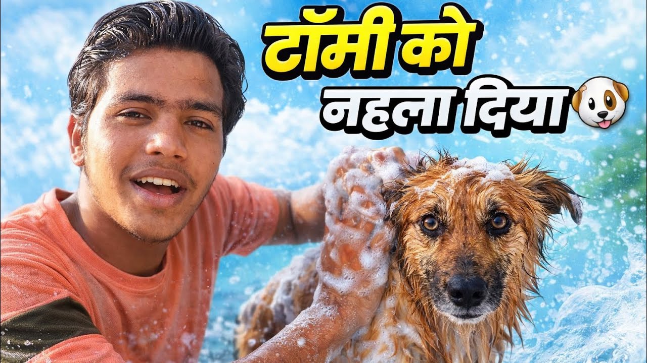 Toomy Ko Nehla Diya🐶
