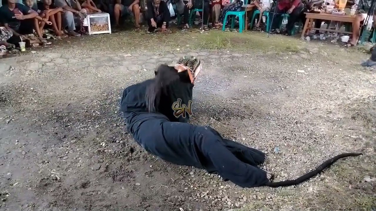 BARONGAN KAPIN EBEG MEKAR MUKTI PANGOLAHAN PADAHERANG