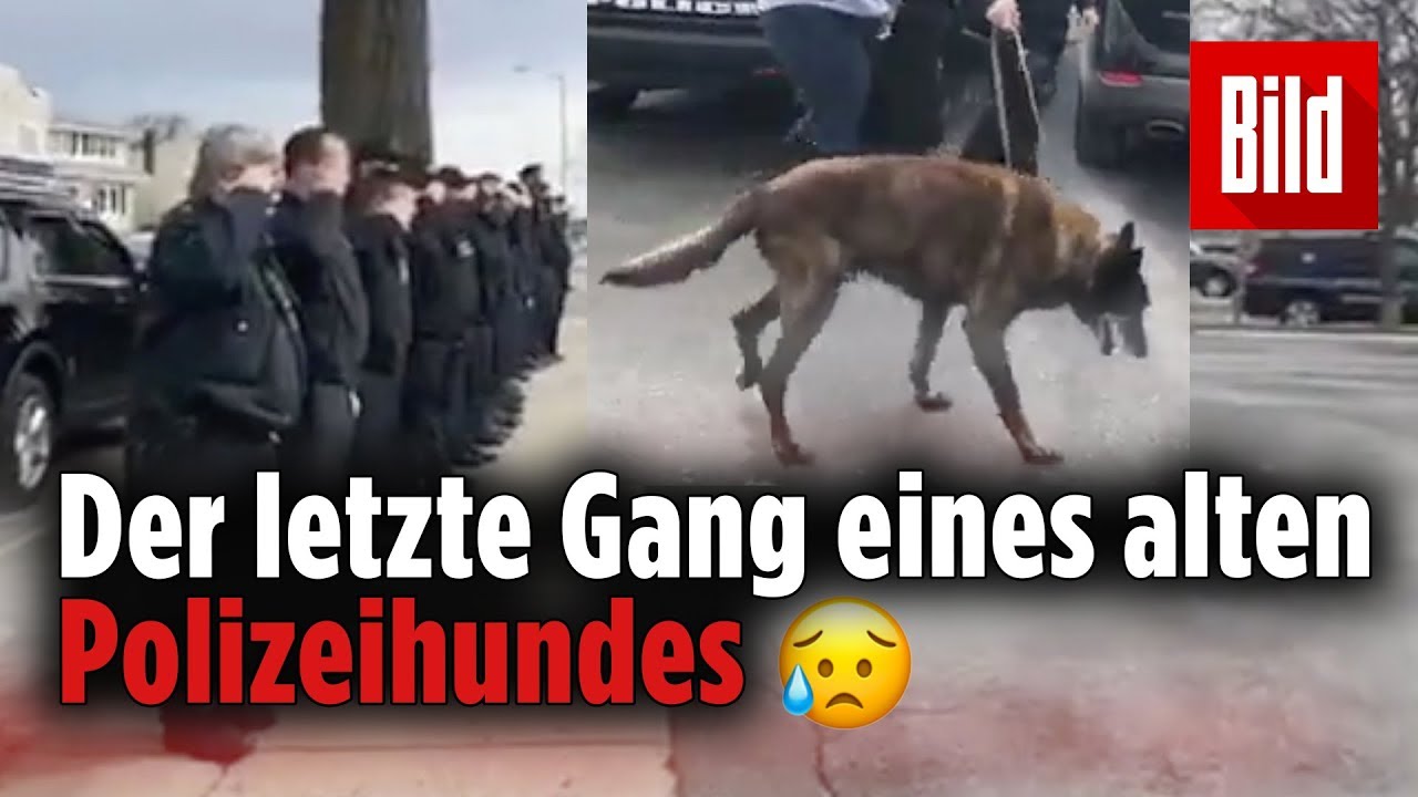 Polizisten verabschieden sich von ihrem alten Polizeihund