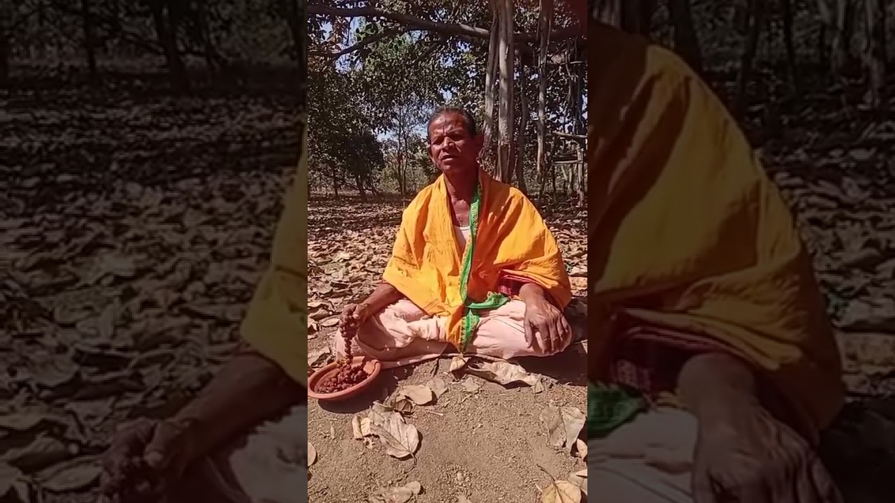 #lifeisbutadream #ihavethisthingwithplants #haveitoldyoulatelythatiloveyou