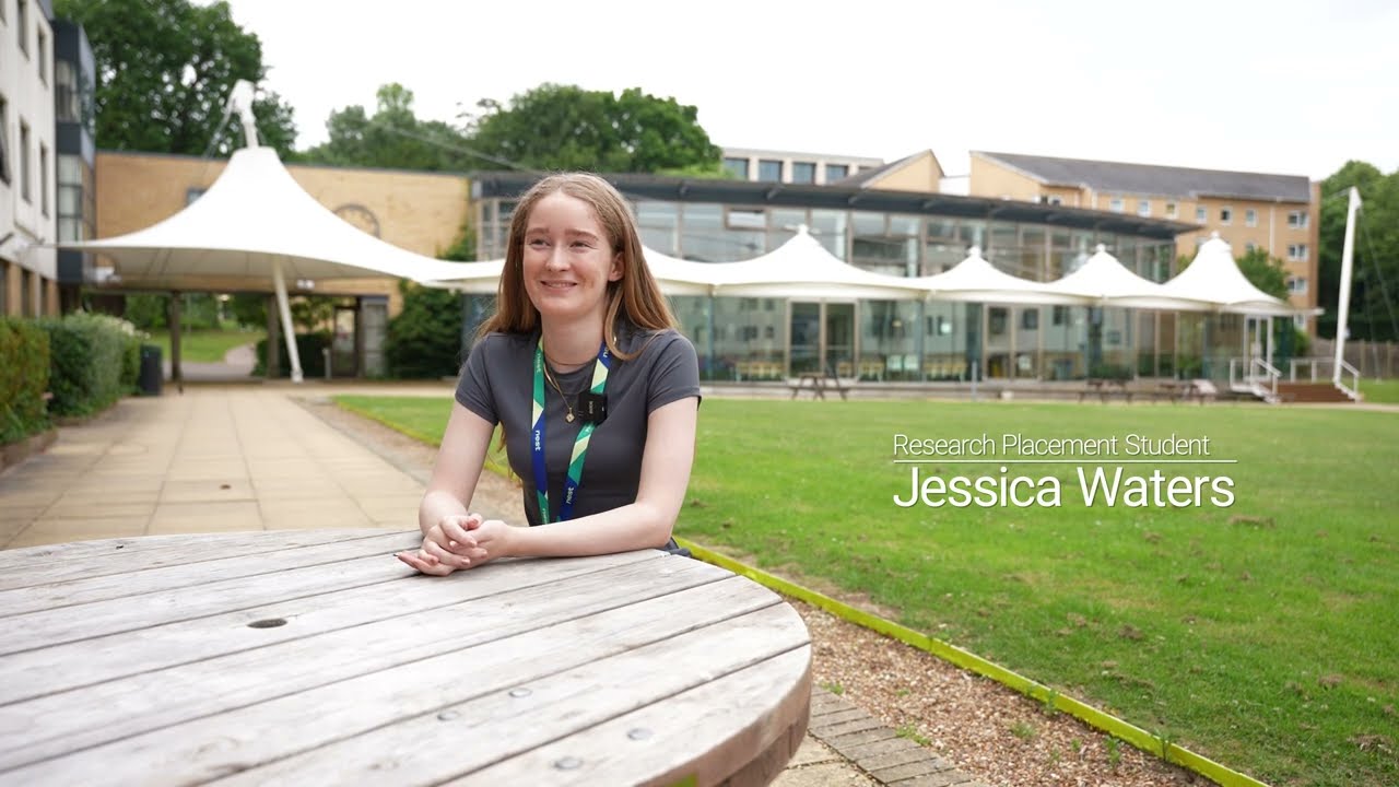 My placement year at Roehampton