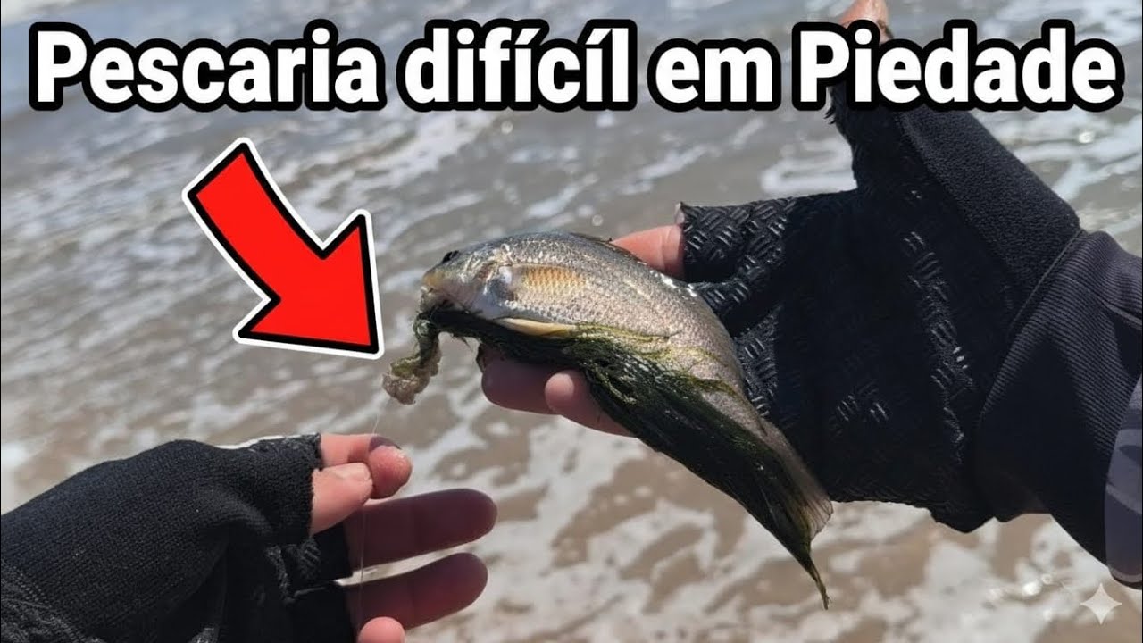 PESCANDO PRÓXIMO A IGREJA DE PiEDADE