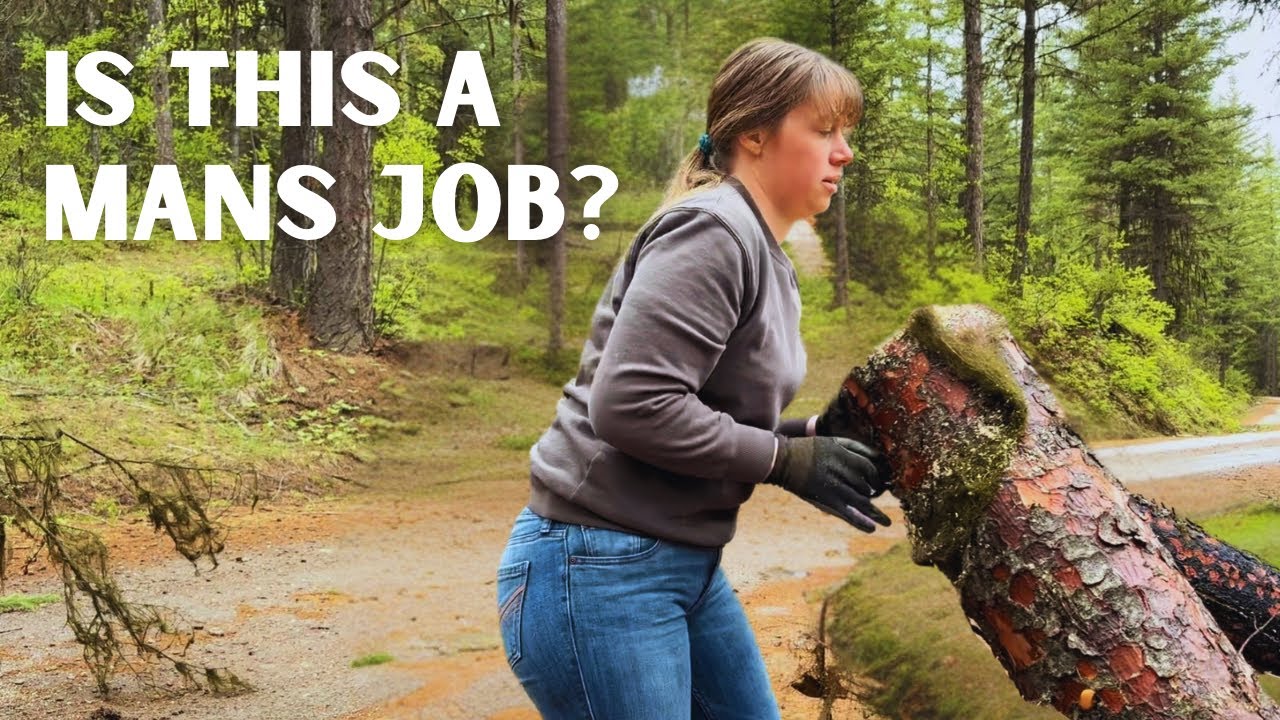 Spring clean-up alone on the homestead, and removing a problem tree from the road