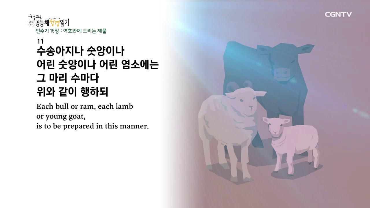 [하루 20분 공동체성경읽기] 2/17 민수기 14-15장