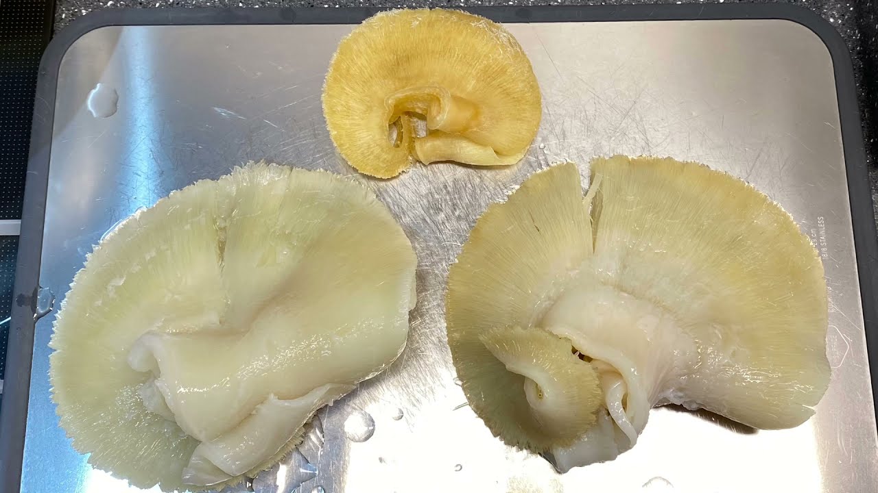 家庭小煮婦：浸發魚翅方法