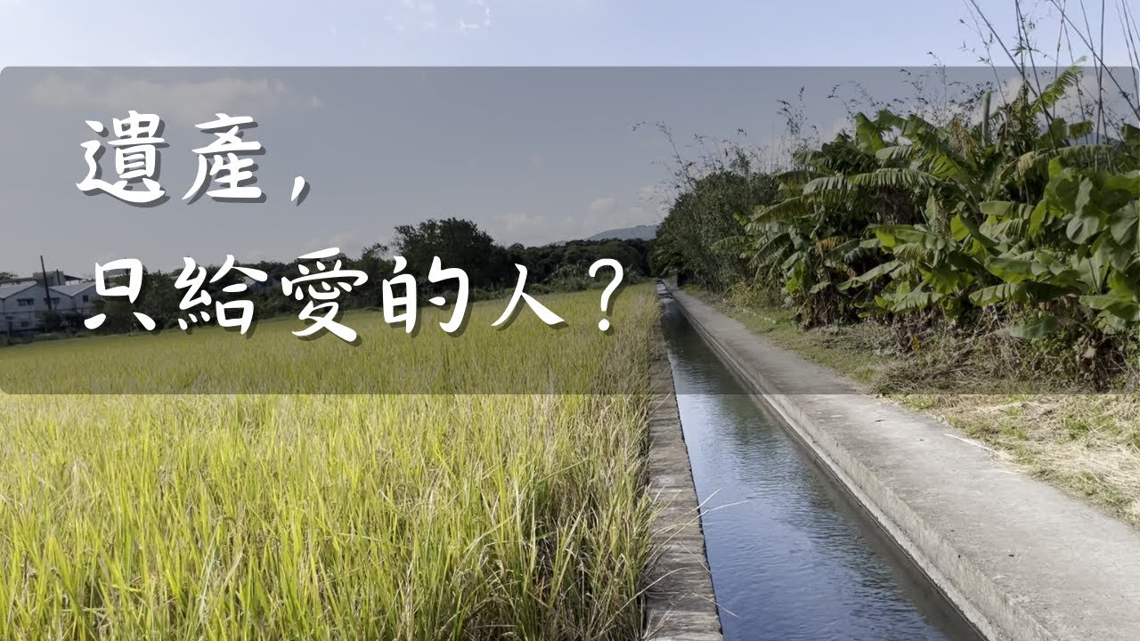 🏠 如果不靠法律，你的孩子會回家嗎？中年才看懂的「特留分」殘酷真相。