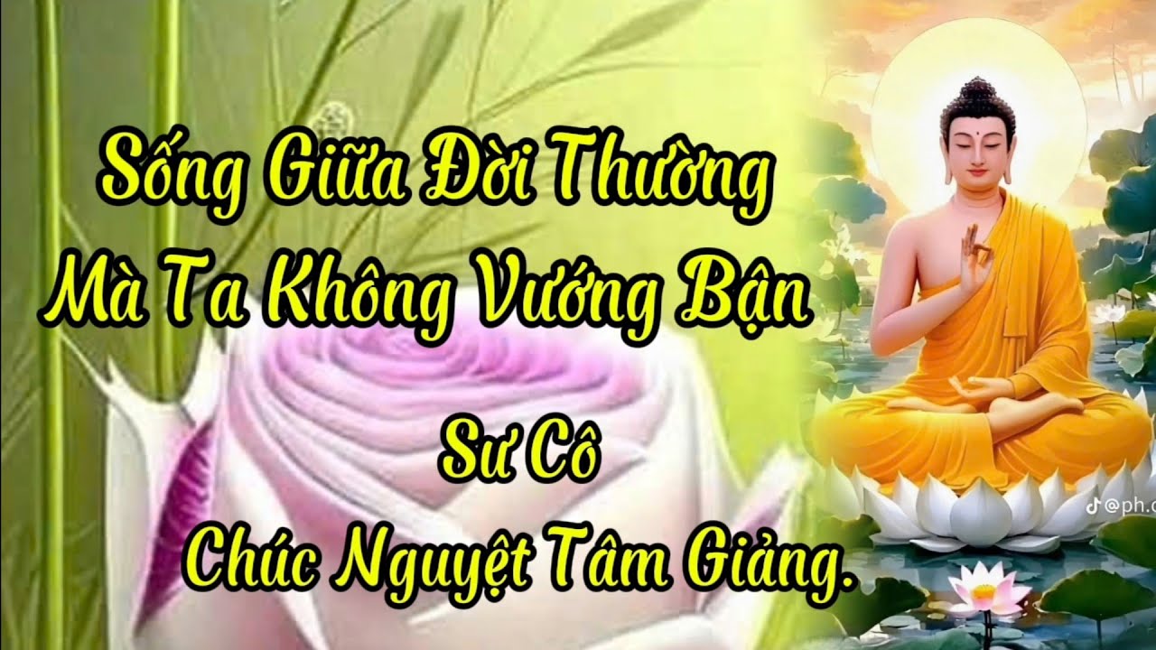 PHẬT TỬ LÀM CÔNG QUẢ THẾ NÀO ĐỂ ĐƯỢC PHƯỚC..LIVE TRỰC TIẾP.. CHUCNGUYETTAM. 