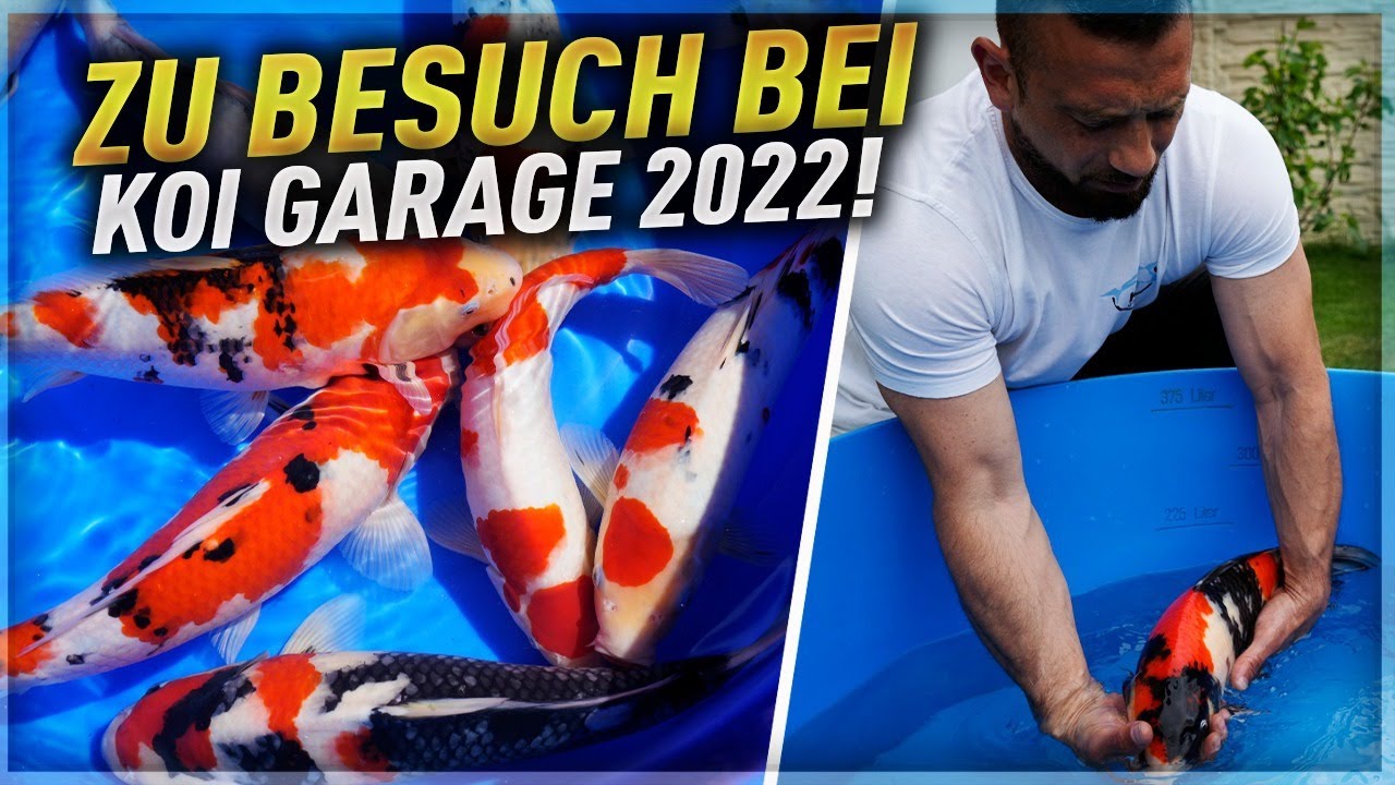 Zu Besuch bei Koi Garage 2022!