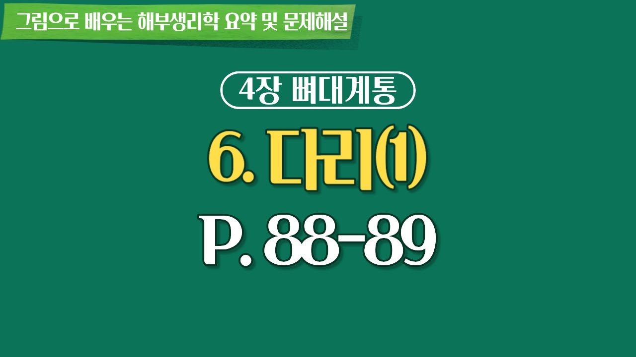 4장 뼈대계통 6.다리(다리이음뼈: 볼기뼈) (p88-89)