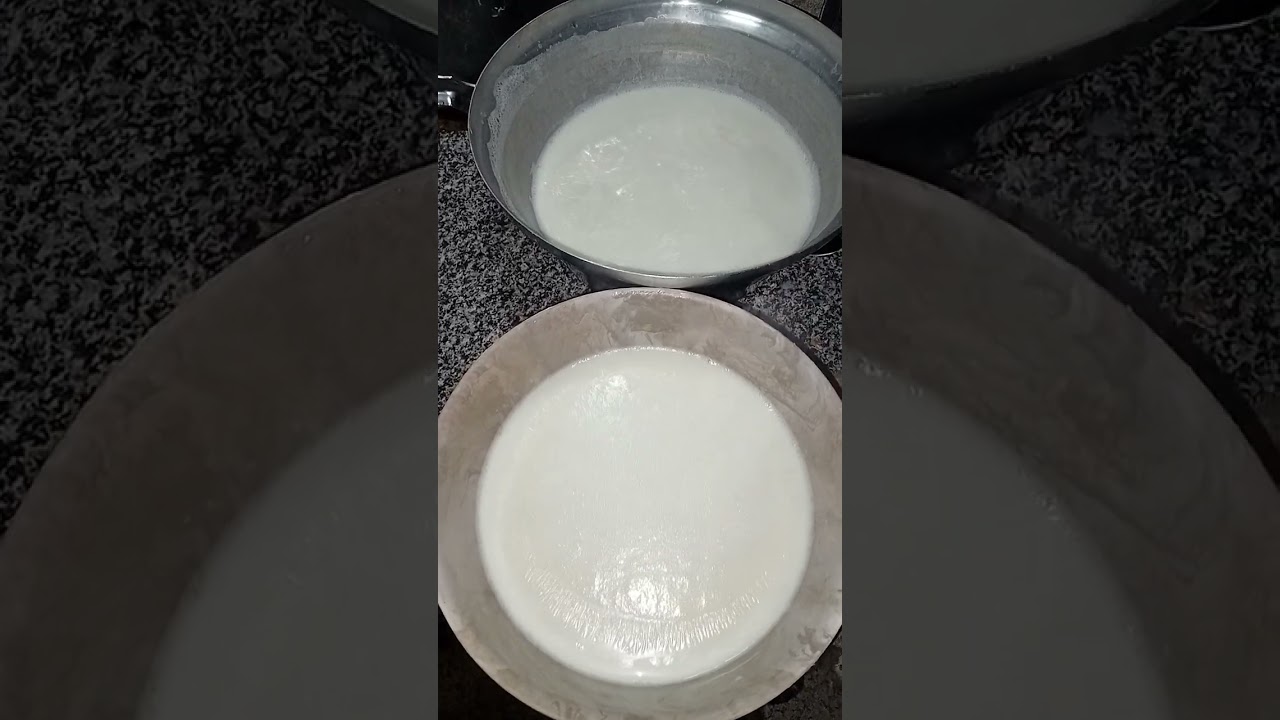 ١ فبراير ٢٠٢٦