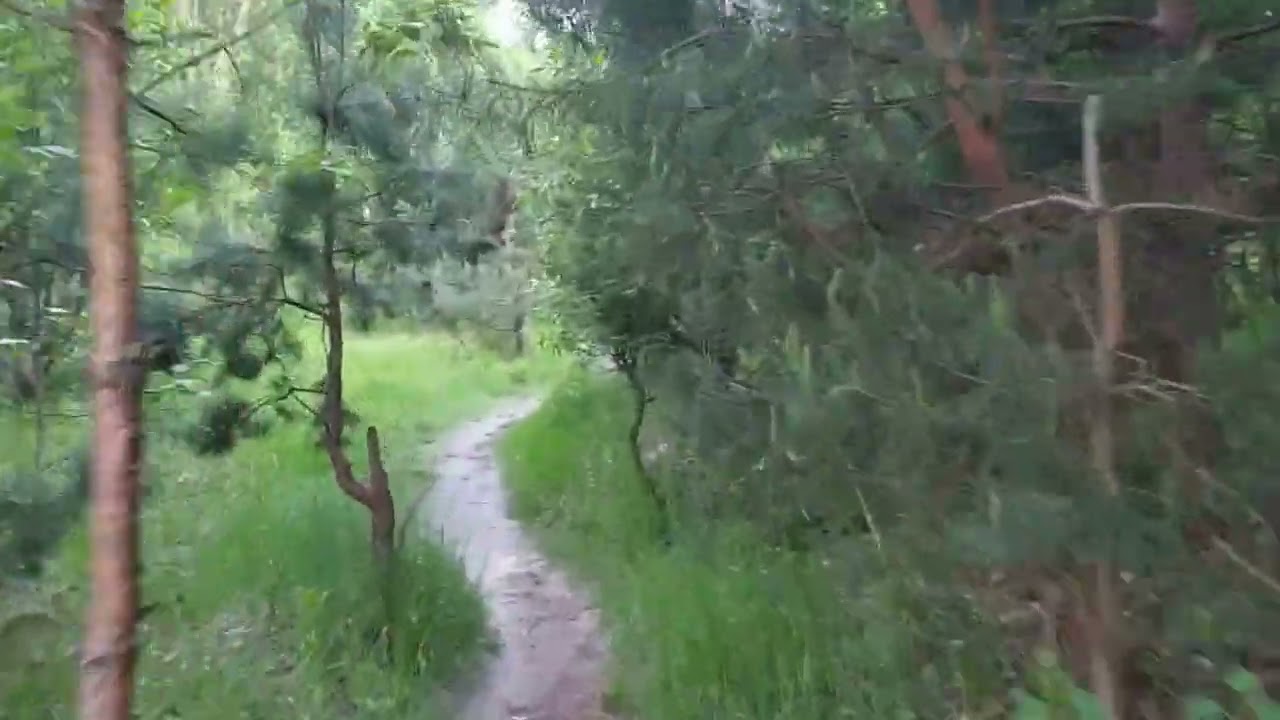 Велосипедування в околицях Троєщини  ‎| Cycling in the vicinity of Troyeshchyna. 28.5.‎2021‎