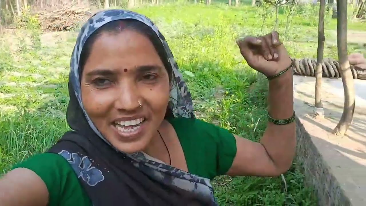 सारे कंडा चुरा लिये #share#kndachuraliye #dalchandvilog 