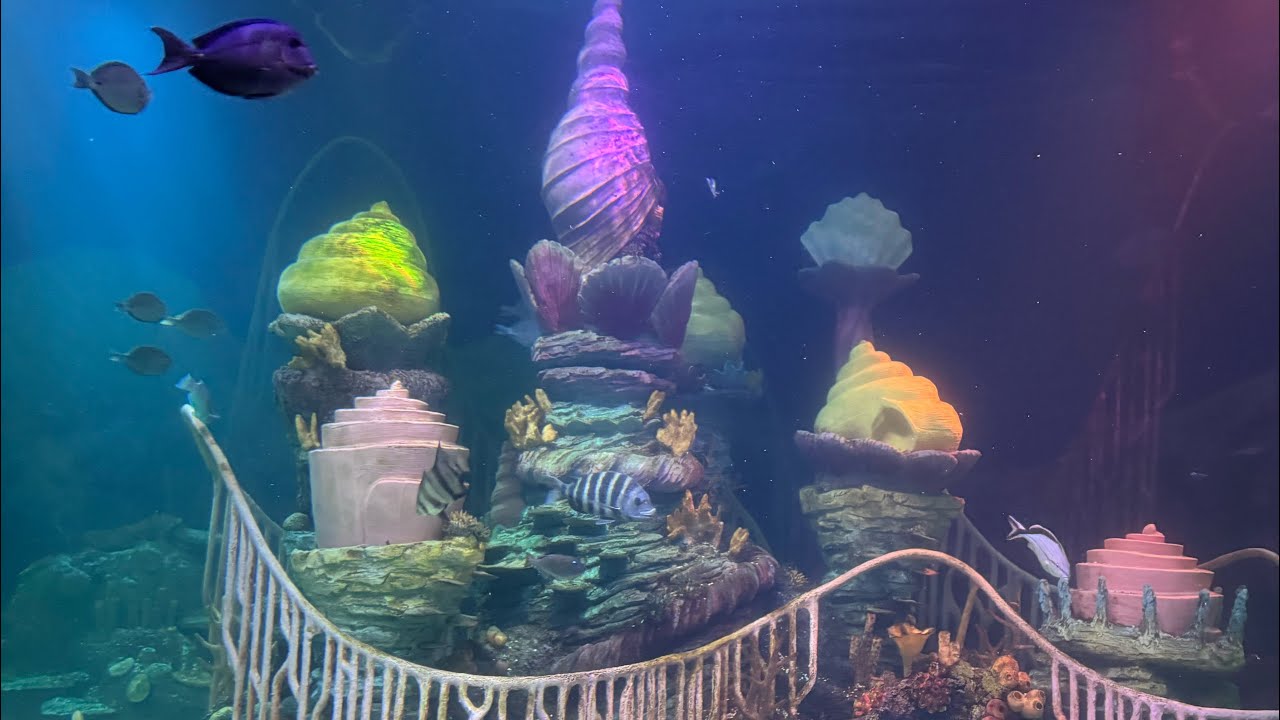 SEA LIFE Florida at LEGOLAND Florida