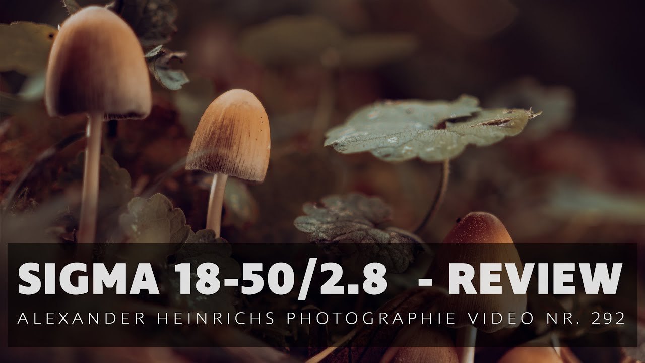 REVIEW SIGMA 18-50/2.8 - ah-photo Video 292