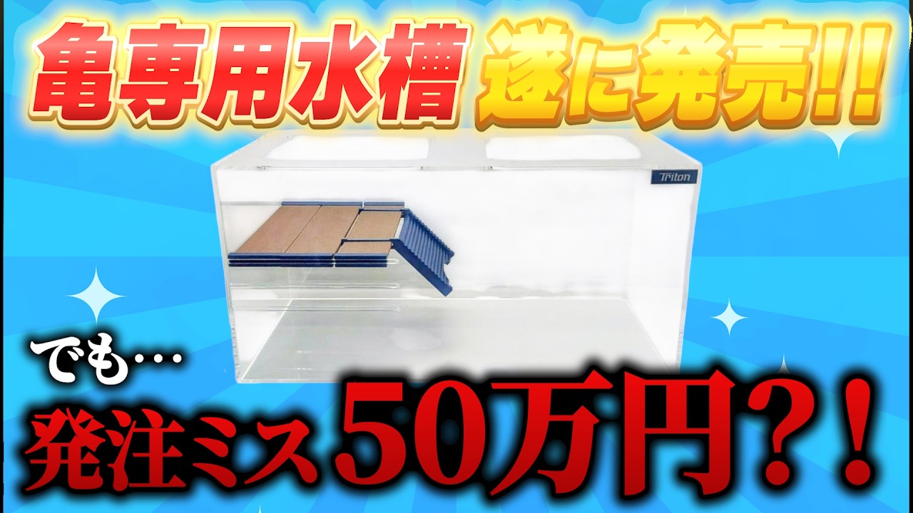 【遂に来た】亀専用水槽、販売開始！陸地が宙に浮くアクリル水槽！【カメ】