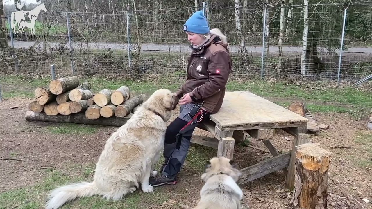 Bhaluka & Wookie - virtueller Hofrundgang auf De Hun'nenhoff