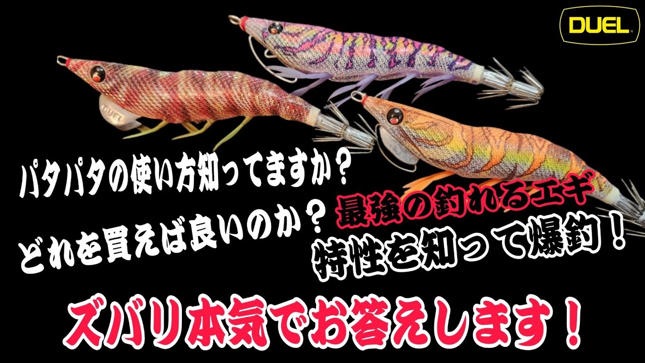 【エギング】釣れない方絶対に見て下さい！パタパタエギEZ-Qシリーズを使いこなしてアオリイカ爆釣！大分エギング