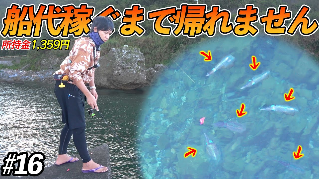 【#16】激アツ！朝の漁港にアオリイカの群れが大量発生！？【超過酷対決！船代稼ぐまで帰れません!!!】