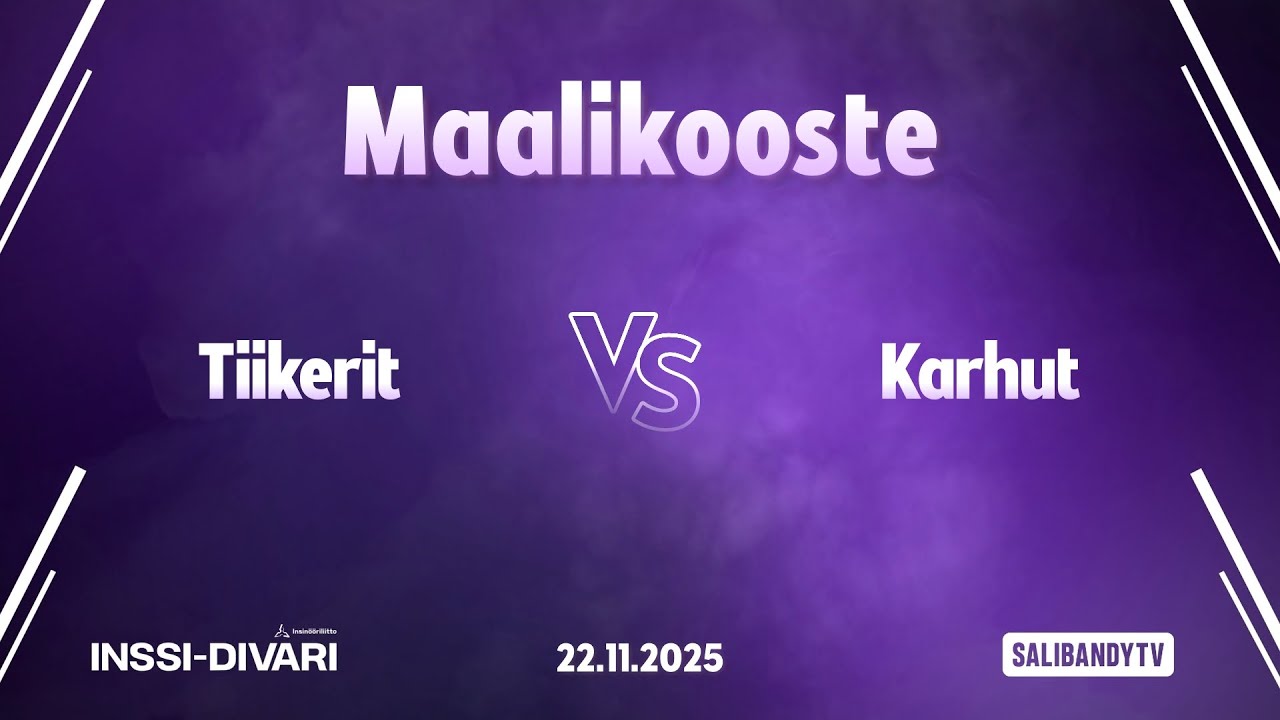 Maalikooste: Tiikerit - Karhut (Inssi-Divari M)