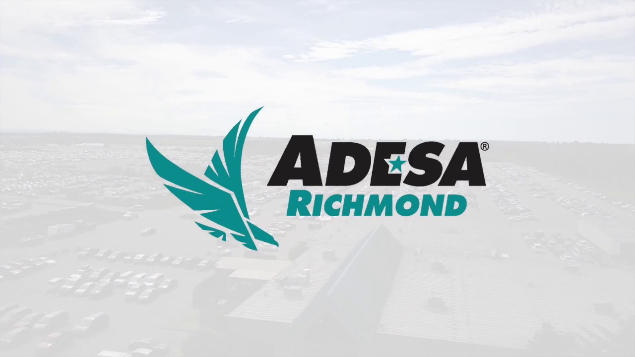 How to Sell your car at ADESA Richmond Public Auction