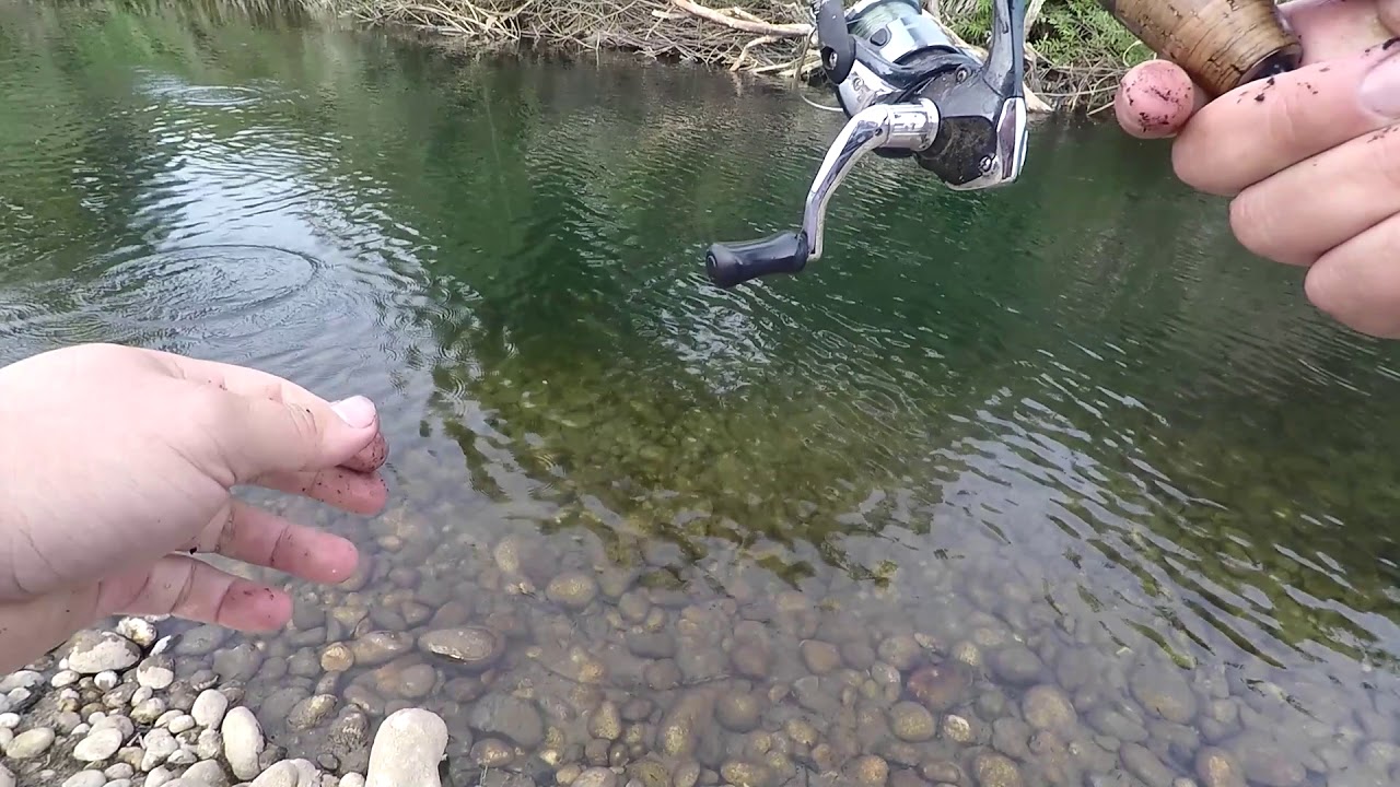 Fishing Kings River by HWY 180