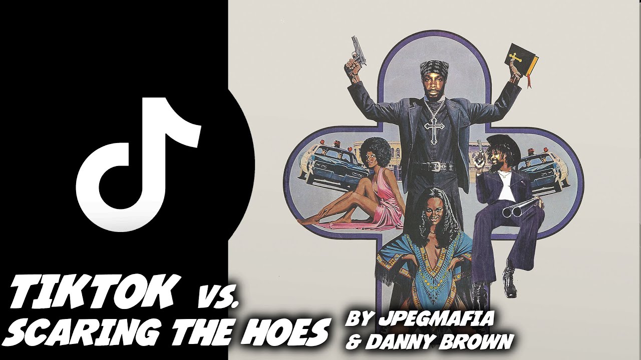 TikTok vs. SCARING THE HOES by JPEGMafia x Danny Brown