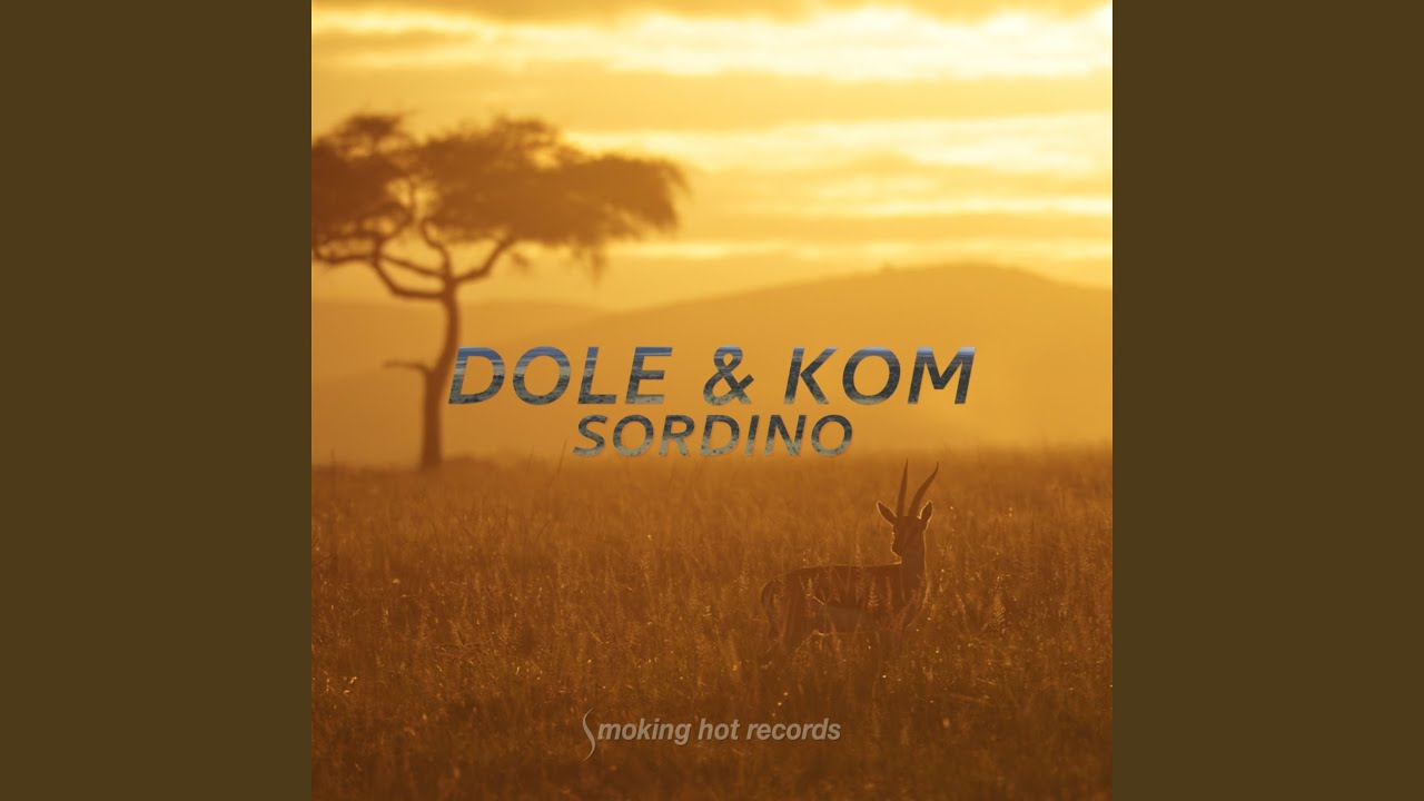 Sordino (Radio-Edit)