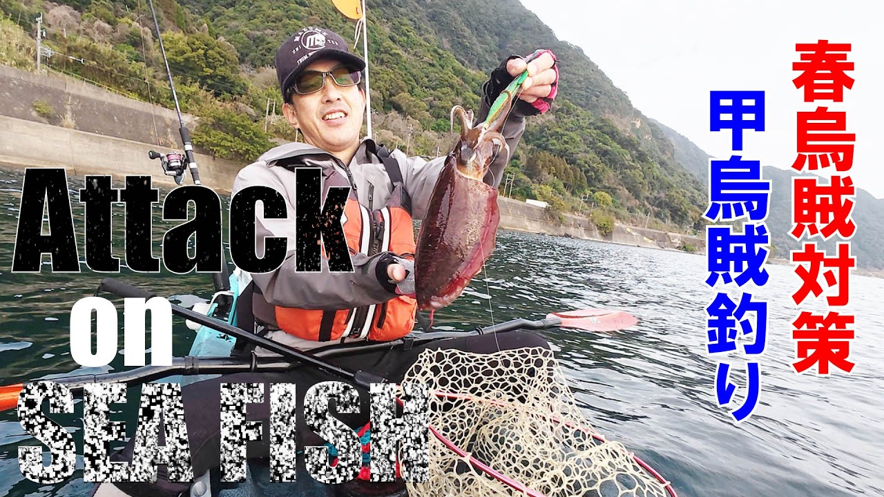（春イカ釣るにはコウイカがキモ）進撃のカヤック31