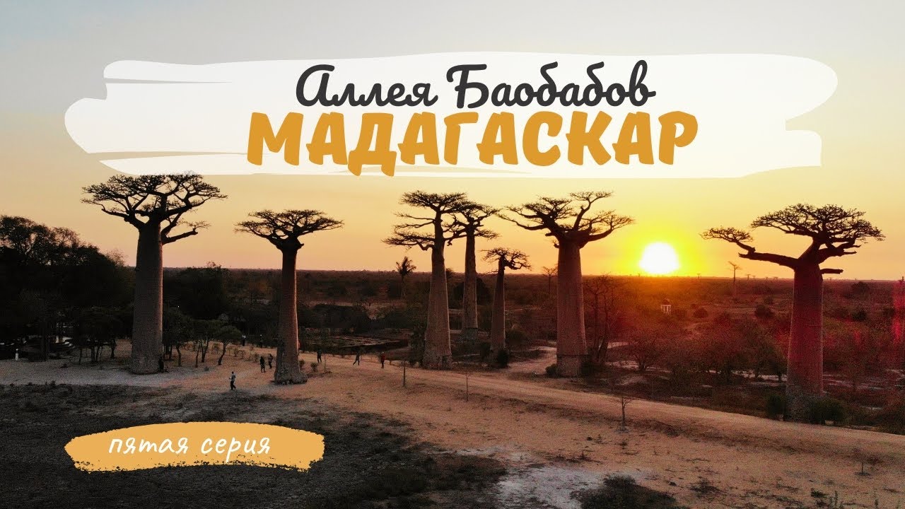 Мадагаскар. Природные Чудеса Света - Аллея Баобабов и Цинги де Бемараха (5 серия)