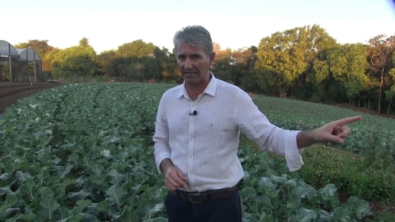 COMO ACABAR COM AS FORMIGAS CORTADEIRAS NA SUA HORTA!