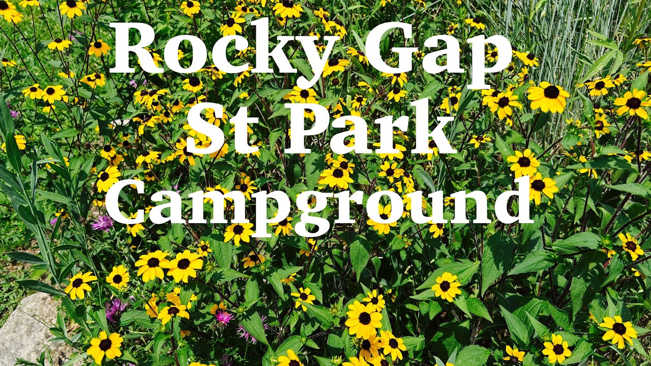 Rocky Gap State Park Ash Loop