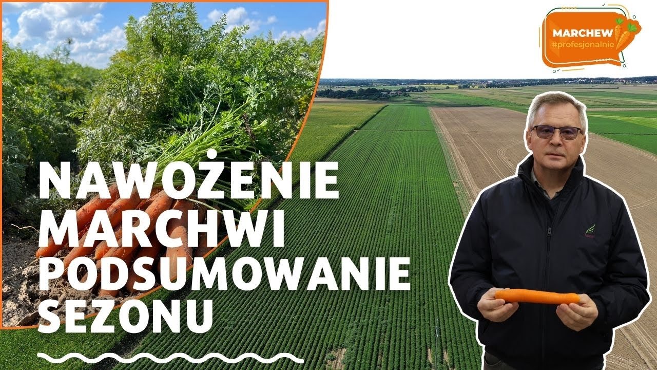 Marchew #Profesjonalnie - nawożenie zdało egzamin