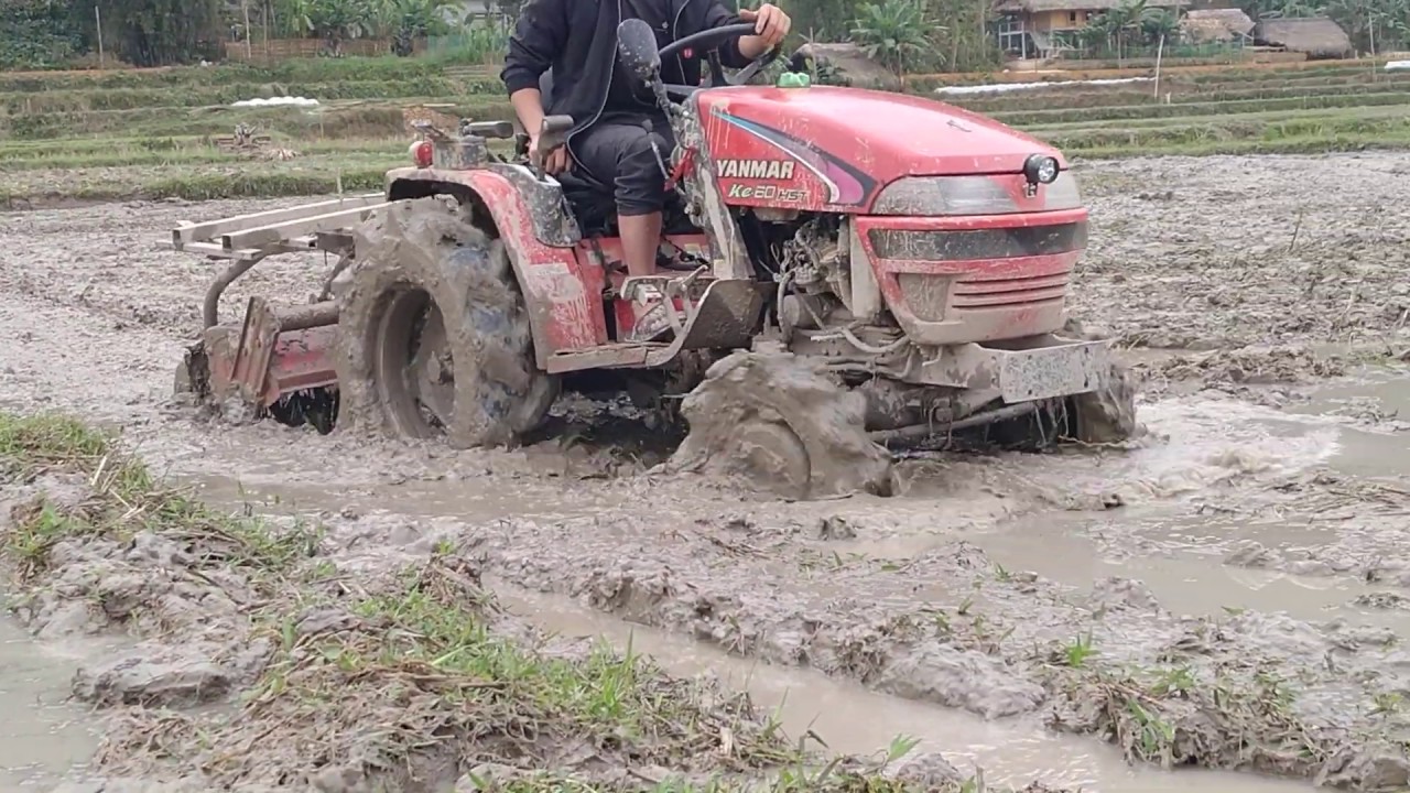 Máy cày yanmar ke 60  bừa ruộng lầy nha