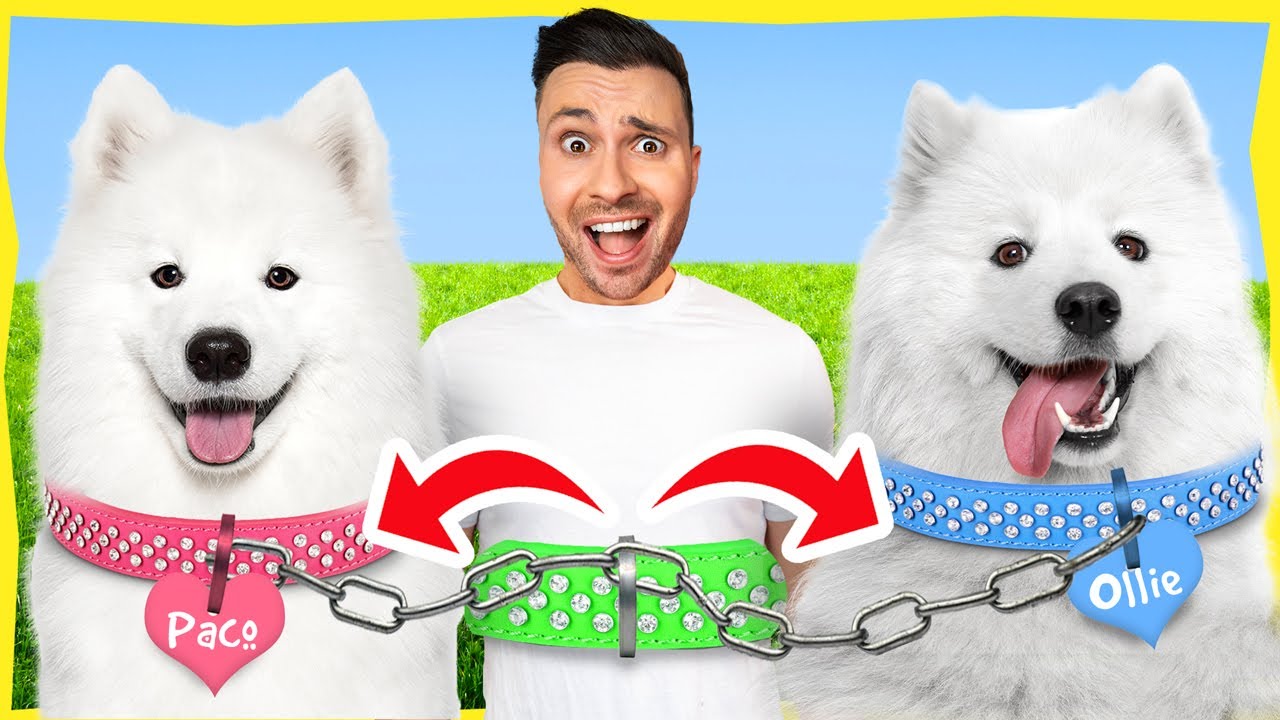 Ik Zit 24 Uur Aan Paco De Hond en Ollie Vast! *Challenge*